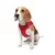 Paws & Whiskers Am za pse Air-Mesh, Crveni