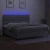 vidaXL Box spring postelja z vzmetnico LED sv. siva 200x200 cm blago