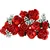 Lego BOTANICALS Buket ruža ( 1045133 )