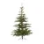 Novogodišnja jelka Nobilis fir D122cm H180cm Everlands 68.9201