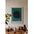 WallXpert uramljena slika 115211, The Black Peacock Ohare Kosona, crni paun, tirkizna pozadina, 50 x 70 cm, beli ram