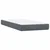 vidaXL Box Spring postelja z vzmetnico Temno siva 80x220 cm Velvet
