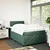Vidaxl Box spring postelja z vzmetnico temno zelen 120x190 cm žamet