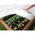 shumee Agrotekstil Spring bel 17g 1,6m x 10m