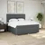 Vidaxl Box spring postelja z vzmetnico temno siva 200x200 cm blago