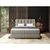 Esposa BOXSPRING POSTELJA 140 cm x 200 cm , tekstil rjavosiva