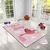 Conceptum Hypnose Tepih Hmi Kdc-90, Pravougaoni, 100 x 140 cm, Roze