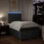 Vidaxl Box spring postelja z vzmetnico temno siva 120x190 cm blago
