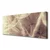 tulup.si Slika na platnu Dandelion rastlin 125x50 cm