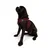 Paws & Whiskers Am za pse Air-Mesh, Bordo