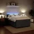 Vidaxl Box spring postelja z vzmetnico temno siva 160x200 cm žamet