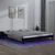 Vidaxl LED posteljni okvir črn 200x200 cm trden les