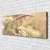 tulup.si Slika na platnu Wild rastline narava 120x60 cm
