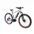 CAPRIOLO Volta 9.4 E-bike 29 sivi (926801-18)