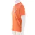 Helly Hansen Massif Graphic Moški Kratka majica