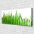 tulup.si Slika na platnu Grass nature rastlin 120x60 cm