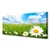 tulup.si Slika na platnu Daisy grass nature 120x60 cm