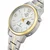 Master Time MTLT-10900-42M Expert Titan