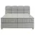Boxspring Krevet Bianco 160/200 cm , sivobraon