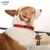Dogness Ogrlica za pse, M, Crvena