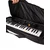 VESTON VSA-CAS for Casio Mini Keyboards torba za klaviaturo
