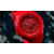 Casio G-Shock GA-2100-4AER