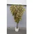 Lilium javor zeleni 165cm A18093