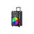 Karaoka zvučnik Intex T-350 TUFB (Dual) v5.1 Trolley FM/Aux/HDMI/USB/BT 5.1/2 x mic/ Daljinski 60W