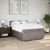 Vidaxl Box spring postelja z vzmetnico taupe 160x200 cm blago