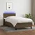 Vidaxl Box spring postelja z vzmetnico LED temno rjava 90x190 cm blago