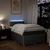 Vidaxl Box spring postelja z vzmetnico temno siva 120x190 cm blago