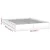 shumee vidaXL Posteljni okvir 150x200 cm masiven les