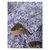 Name It dežni komplet DR DH 13242549 NMFDRY10 13242549 D modra 122