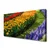 tulup.si Slika na platnu Tulipani rože vrt 125x50 cm