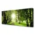 tulup.si Slika na platnu Sun forest narava pot 125x50 cm