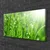 tulup.si Slika na platnu Narava grass drops 100x50 cm