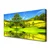 tulup.si Slika na platnu Drevo travnik narava 120x60 cm