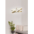 OPVIQ LED luster Colesseum Gold