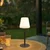 Lindby LED svetilka za polnjenje Azalea, bela/rjava, 45 cm, CCT, IP44 - Sodobni - temno rjava, bela - Aluminij