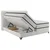 BOXSPRING KREVET CARMEN C 180/200 cm , bež