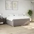 Vidaxl Box spring postelja z vzmetnico taupe 180x200 cm blago
