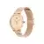 TOMMY HILFIGER 1782881