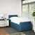 Vidaxl Box spring postelja z vzmetnico modra 80x200 cm žamet