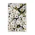 Conceptum Hypnose Tepih HMNT521, 100x150cm, Šareni