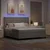 Vidaxl LED Box Spring Postelja z vzmetnico Taupe 180 x 200 cm blago