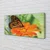 tulup.si Slika na platnu Flower pisane metulj 100x50 cm