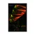 Plakat tropski palmovi listi - 30x45 silver