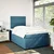 Vidaxl Box spring postelja z vzmetnico modra 120x190 cm žamet