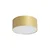 BRILAGI - LED Spoljašnje plafonsko svetlo FORIS LED/20W/230V O 15 cm zlatna IP44