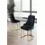 HANAH HOME Set stolica (4 dela) Puva Anthracite Gold